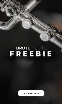 Sonixinema Brute Flute Freebie KONTAKT FREE screenshot